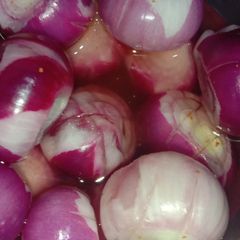 Sirka Onion A picture of Sirka Onion.