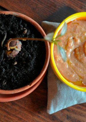Foto di Guacamole prima e dopo