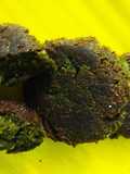 Palak-Kabli Chana Hara Bhara Kabab