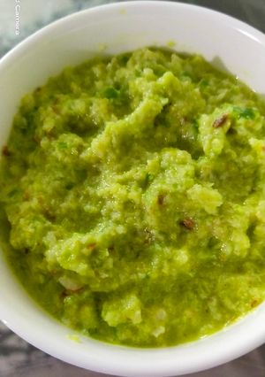 ગ્રીન કેરી કેપ્સિકમ ચટણી(Mango capsicum chutney recipe in Gujarati) રેસીપી મુખ્ય ફોટો