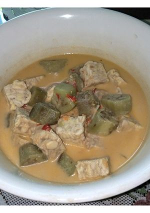 Foto resep Lodeh Terong Tempe