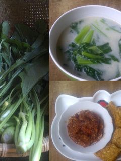 Foto resep Bobor Sayur Santan Kencur