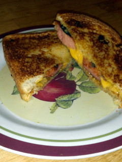 A picture of Grilled cheese hot dog sandwich.