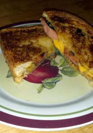 A picture of Grilled cheese hot dog sandwich.