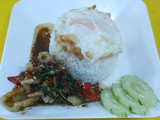 ปลาหมึกผัดใบกระเพราราดหน้าข้าวไข่ดาว