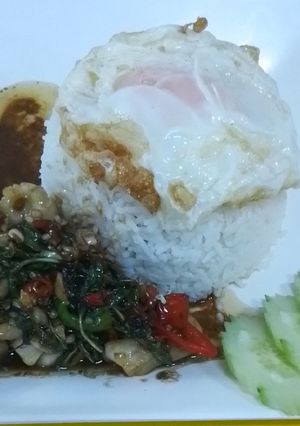รูปของ ปลาหมึกผัดใบกระเพราราดหน้าข้าวไข่ดาว