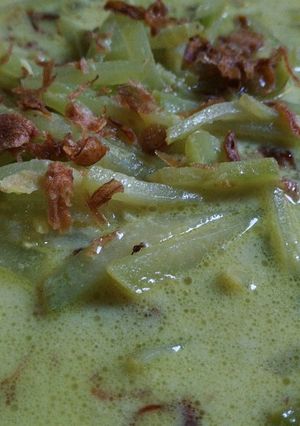 Foto resep Sayur Santan Labu Siam