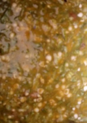 A picture of White okro.