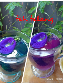 Foto resep Teh Telang