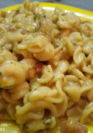 A picture of White sauce fusilli pasta.