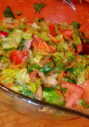 A picture of Lebanese Salad.