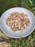 Tongkol Sambal iris Tomat dan Rawit Hijau