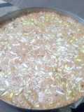 Doudh ka Halwa