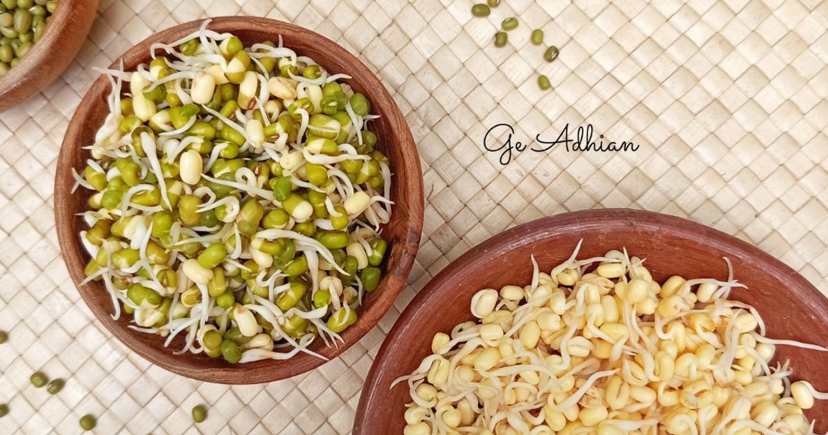 Toge Pendek untuk Soto/Rawon dll