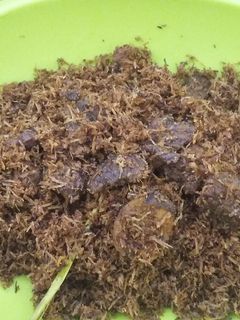 Foto resep Serundeng Daging Gurih