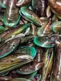 Tumis Kepah