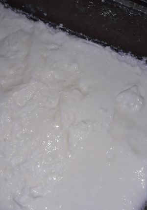 A picture of Yoghurt.