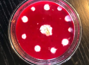 A picture of Beetroot Soup.
