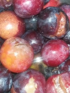 عکسی از دستور رب آلوچه خوشمزه ی ترش😜
