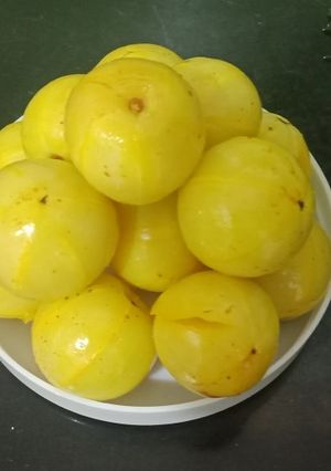આથેલા આમળા (Athela Amla Recipe In Gujarati) રેસીપી મુખ્ય ફોટો