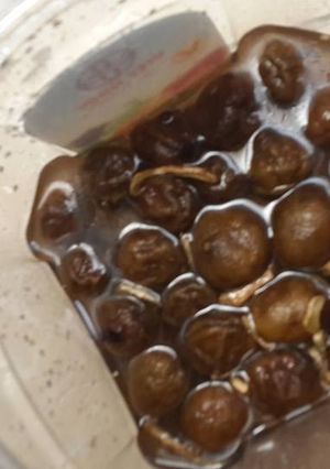 Hình của món Sấu ngâm đường.