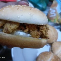 A picture of Zinger.