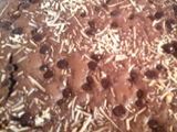 Simple Brownies 
