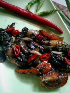 Foto resep Cumi Tumis Hitam