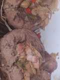 Liebre arrollada