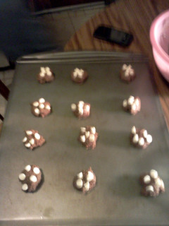 A picture of Chocolate Raspberry Cookies.