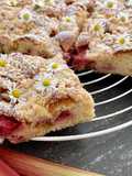 Torta soffice rabarbaro e fragole con crumble croccante
