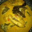 Ikan patin kuah santan