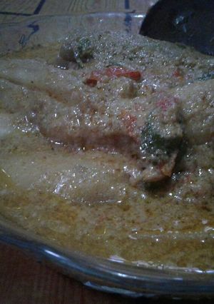 Foto resep Opor terong ala keluarga Nisa Abdina