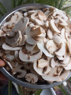 عکسی از دستور نگهداری و کنسرو قارچ