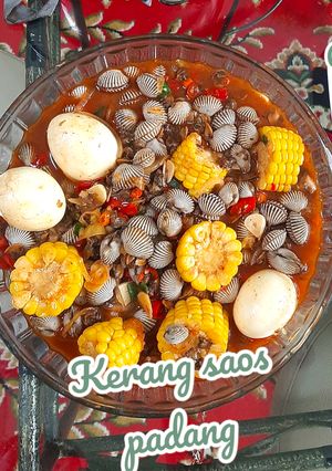 Foto resep Kerang dara saos padang
