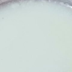 A picture of Lassi.