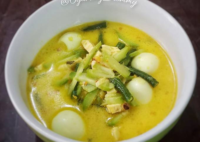 Resep 15 2 47 Sayur Lodeh Labu Siam Oleh Fatimah Fauziah Cookpad