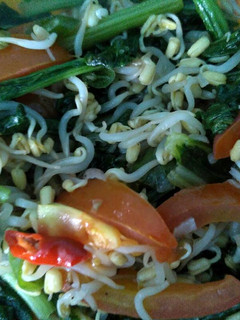 Foto resep Tumis Sawi Tauge