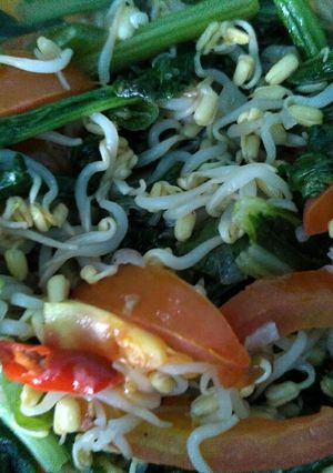 Foto resep Tumis Sawi Tauge