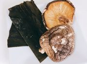A picture of kelp seaweed