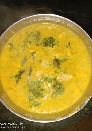 A picture of Panner curry.