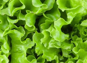 Foto de Salada de alface e rúcula