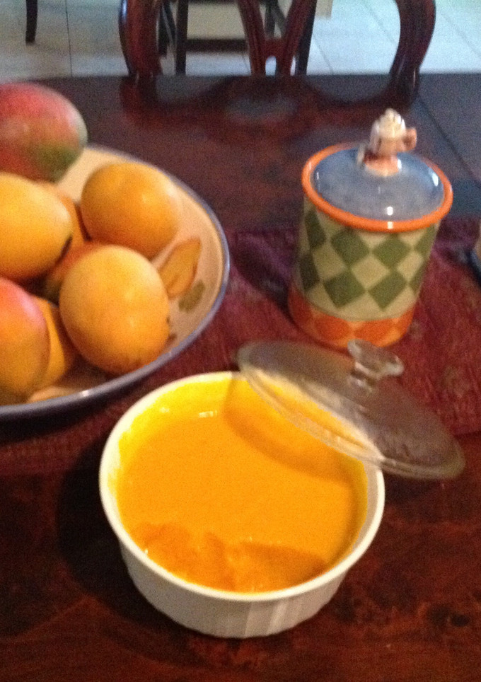 Una foto de Mousse de Mango