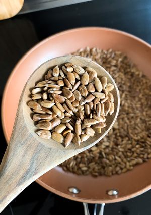 A picture of Toasted sunflower seed nibble.