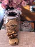 Peanut butter-cranberry cookies- Biscuiți cu unt de arahide și merișoare