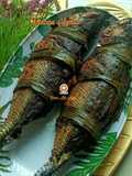 Ikan Cencaru Sumbat