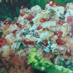 A picture of Apple jack chicken salad.