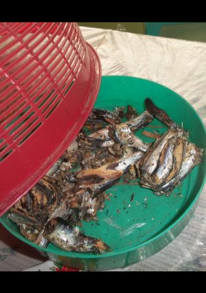 Foto resep Ikan masak bambu