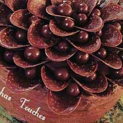 Chocolate dream cake 🍫-レシピのメイン写真