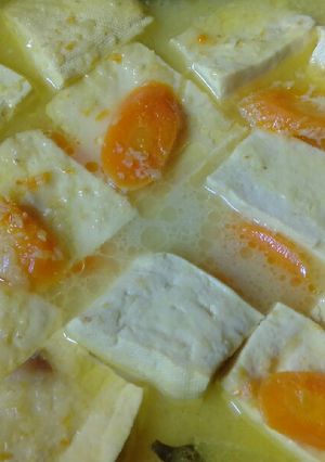 Foto resep Opor simpel tahu wortel